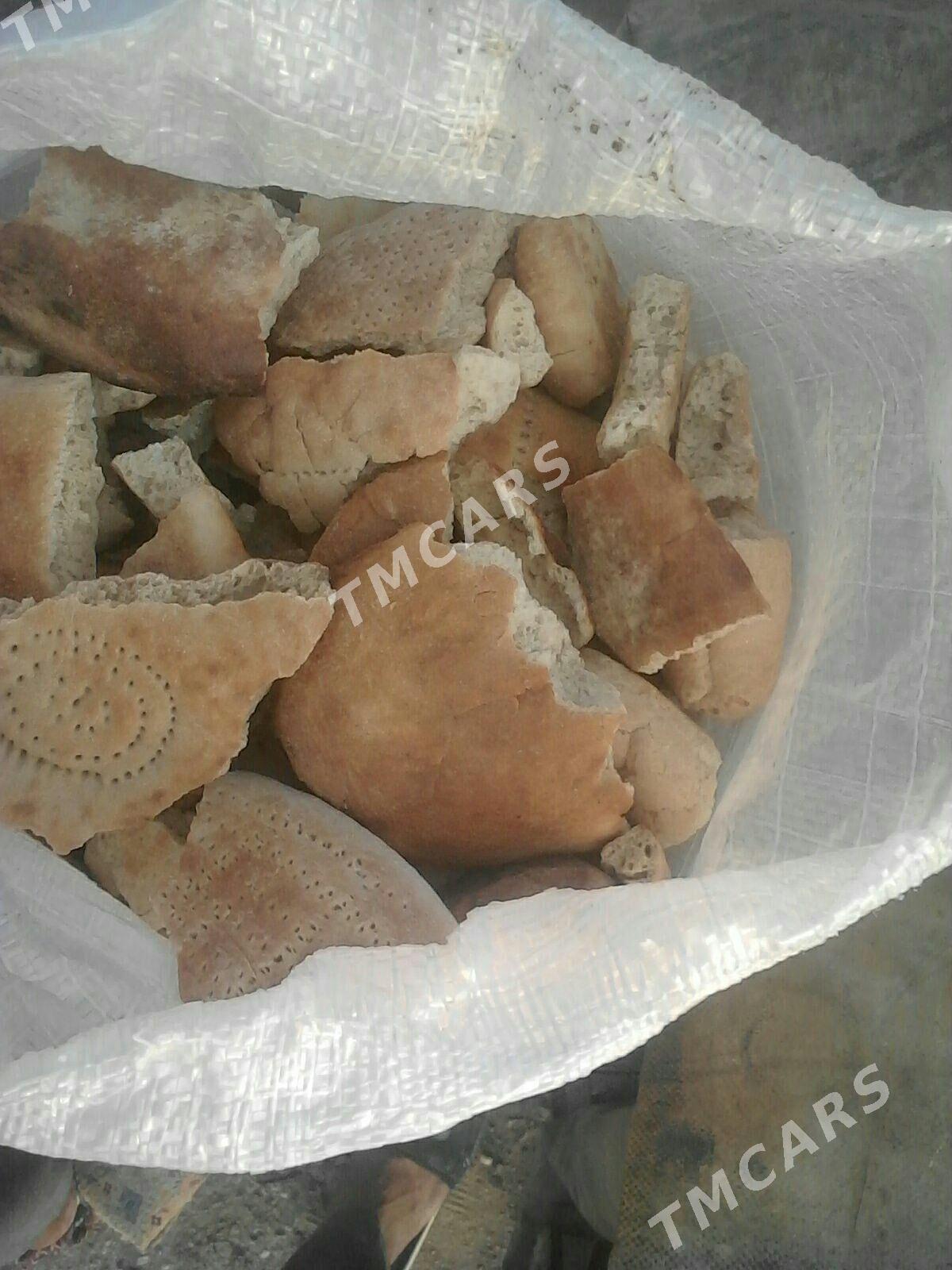 Çòrek mal ùçin - Balkanabat - img 2