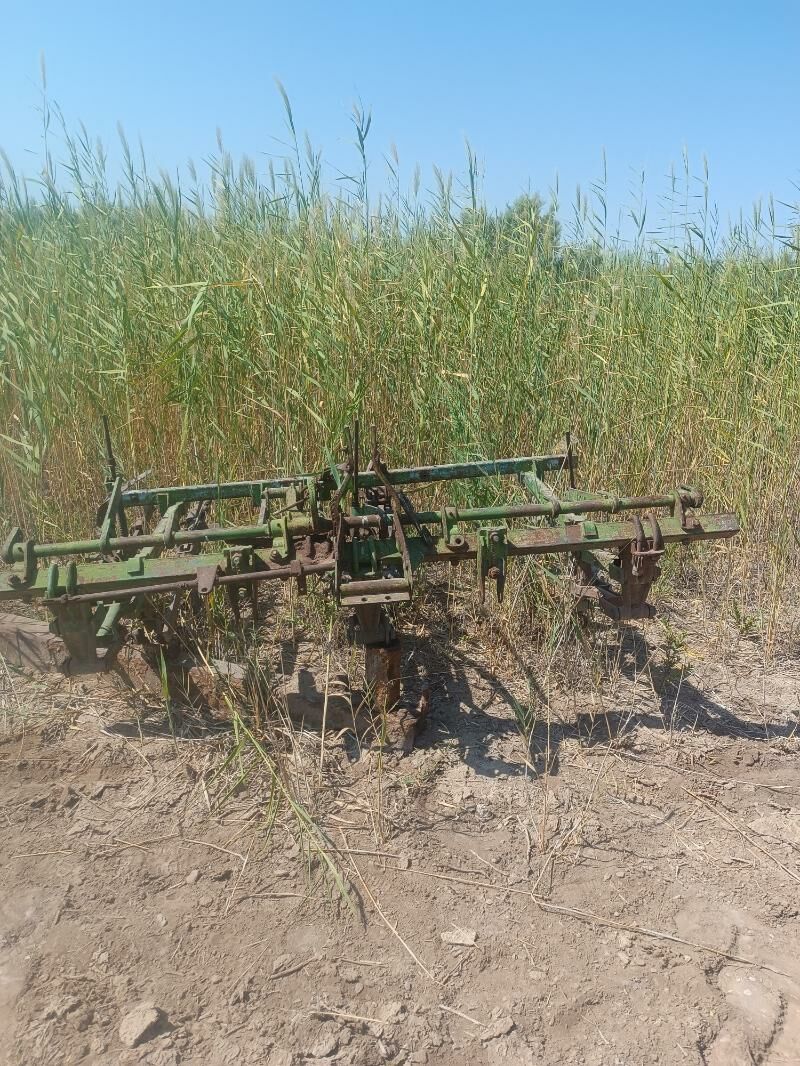 MTZ 80 2002 - 320 000 TMT - Murgap - img 10