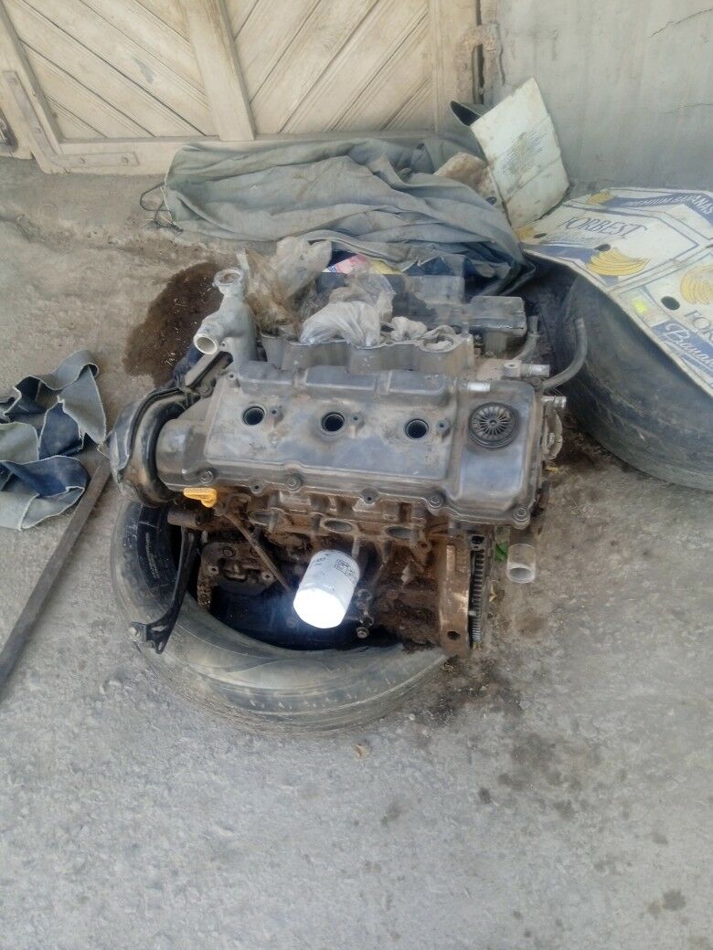 mator 5 000 TMT - Шабатский этрап - img 2