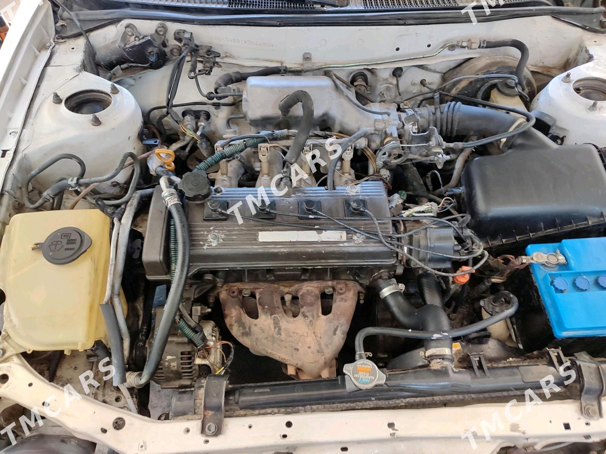 Toyota Corolla 1999 - 55 000 TMT - Daşoguz - img 4