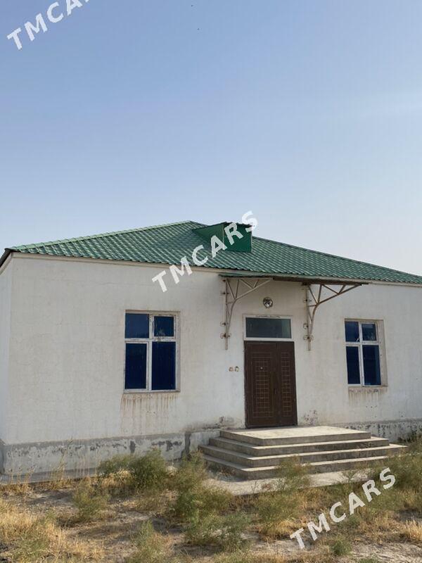 Anew magtymguly arzan - Анев - img 10