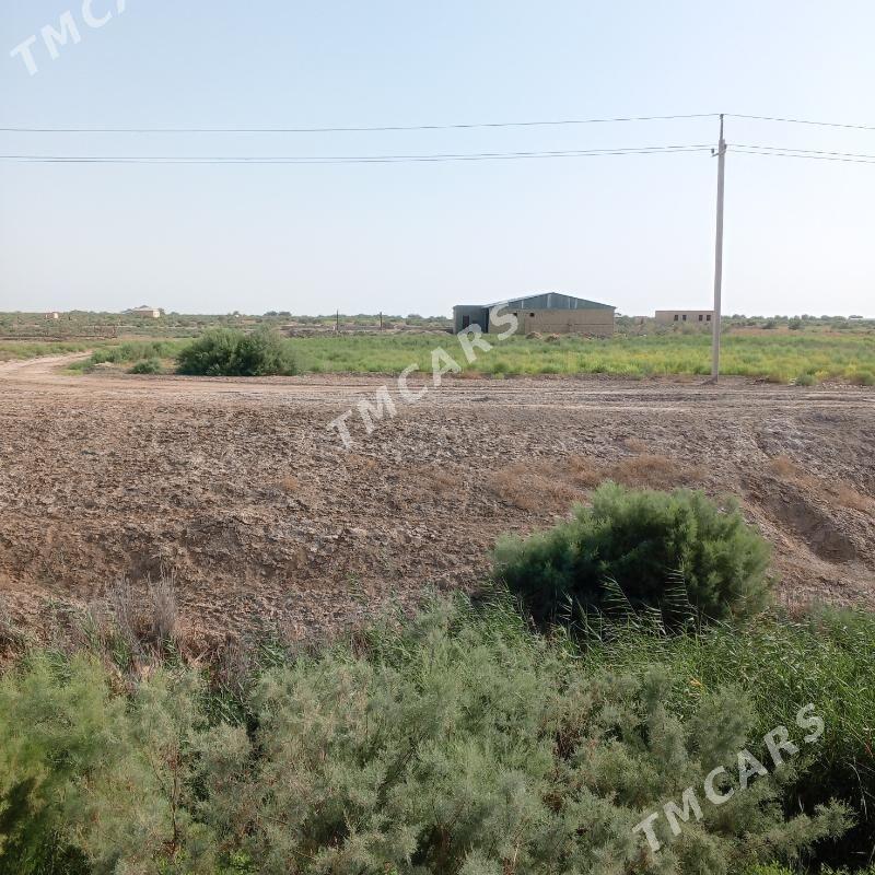 satlyk jaý - Векильбазар - img 3