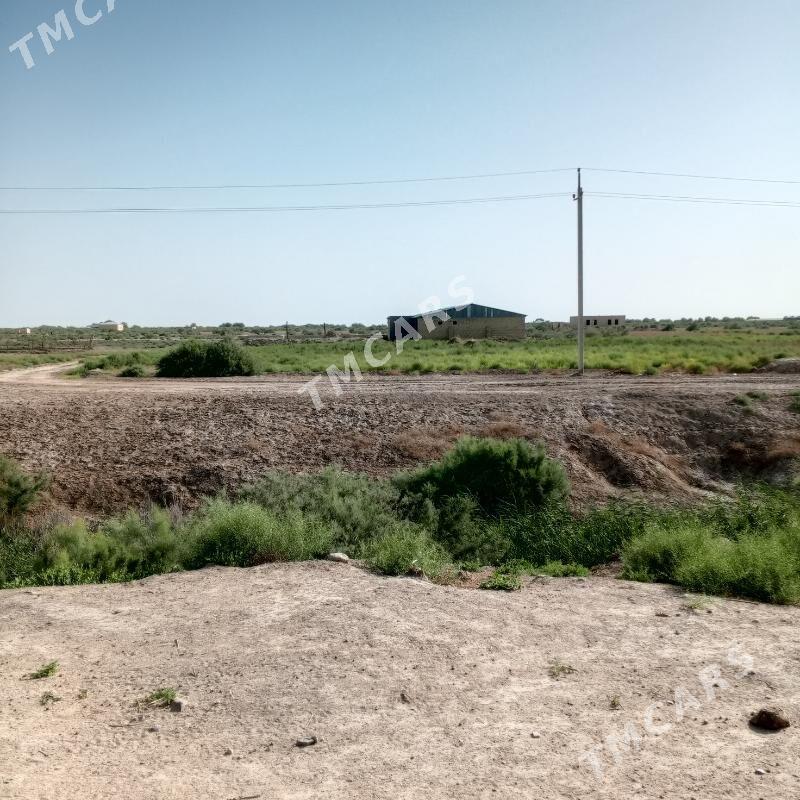satlyk jaý - Векильбазар - img 2