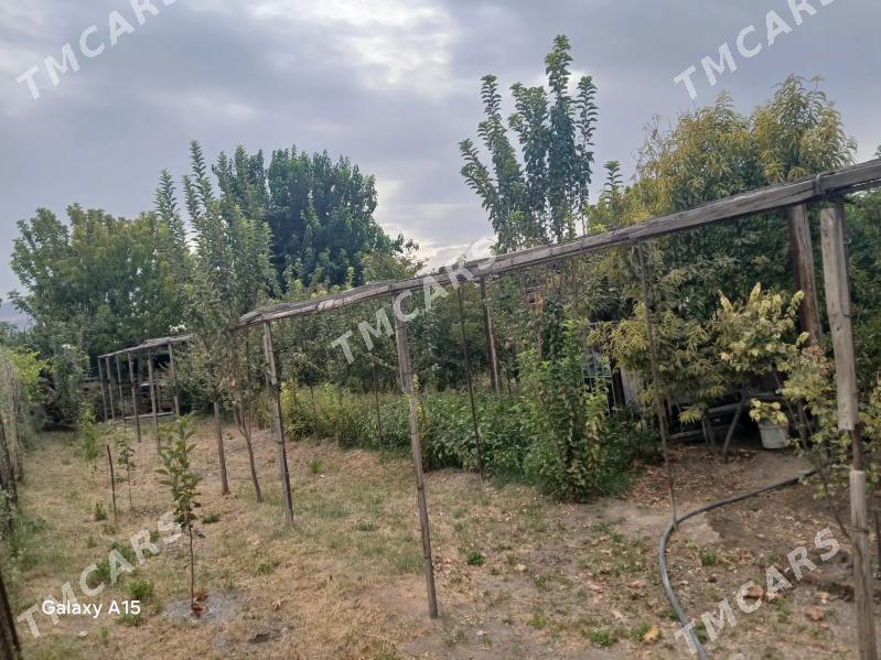 Parnik - Бузмеин - img 4