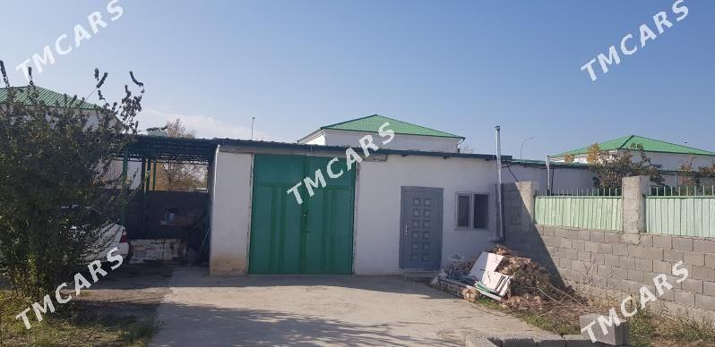 Котеж жай - Тязе заман - img 7