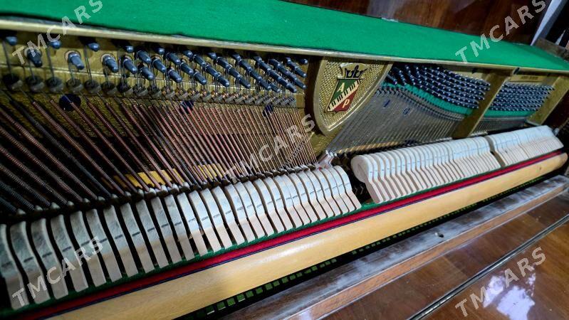Pianino-fortepiano - Aşgabat - img 3