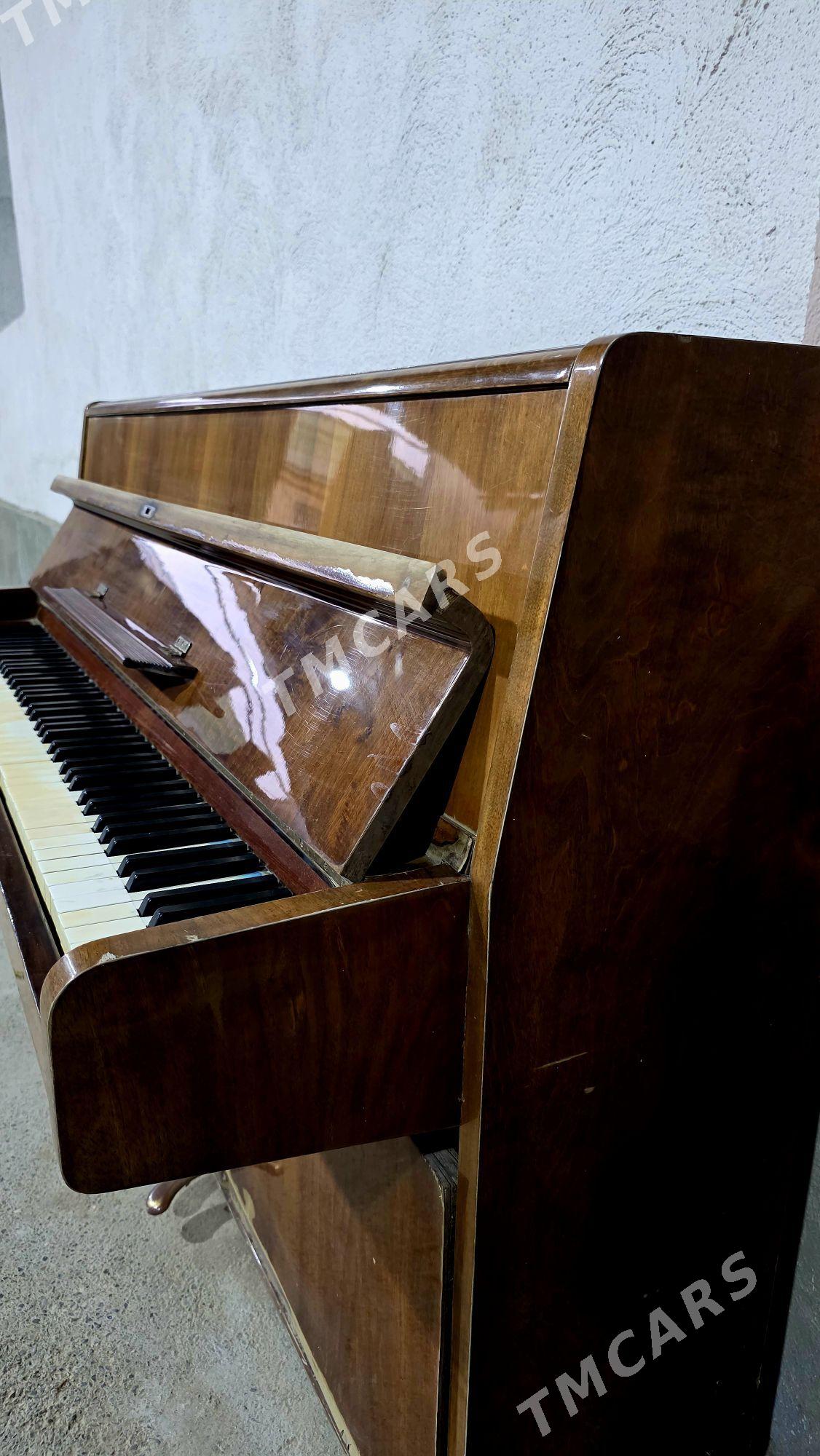 Pianino-fortepiano - Aşgabat - img 5