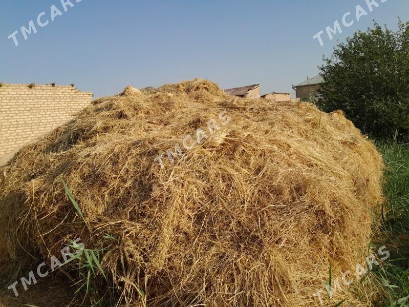 Mal üçin gyşlyk Ot - Мургап - img 2