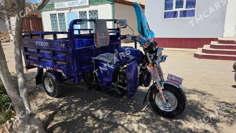Fekon FK200-14G 2025 - 32 000 TMT - Гумдаг - img 5