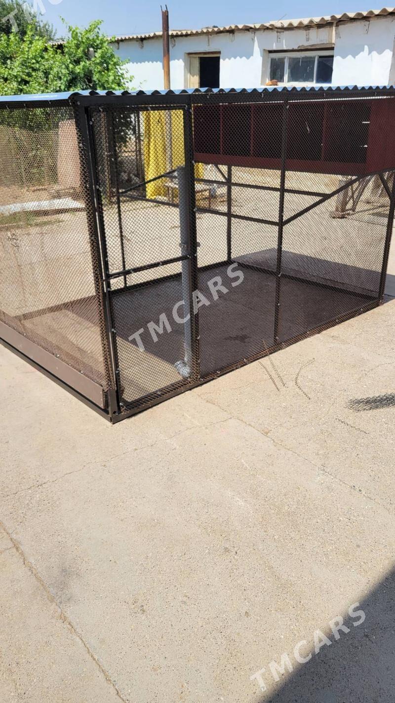 towuk ketek - Мары - img 2