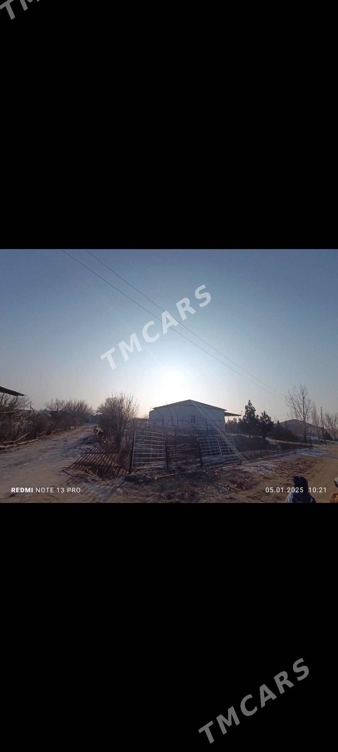 satlyk jay - Гороглы (Тагта) - img 2