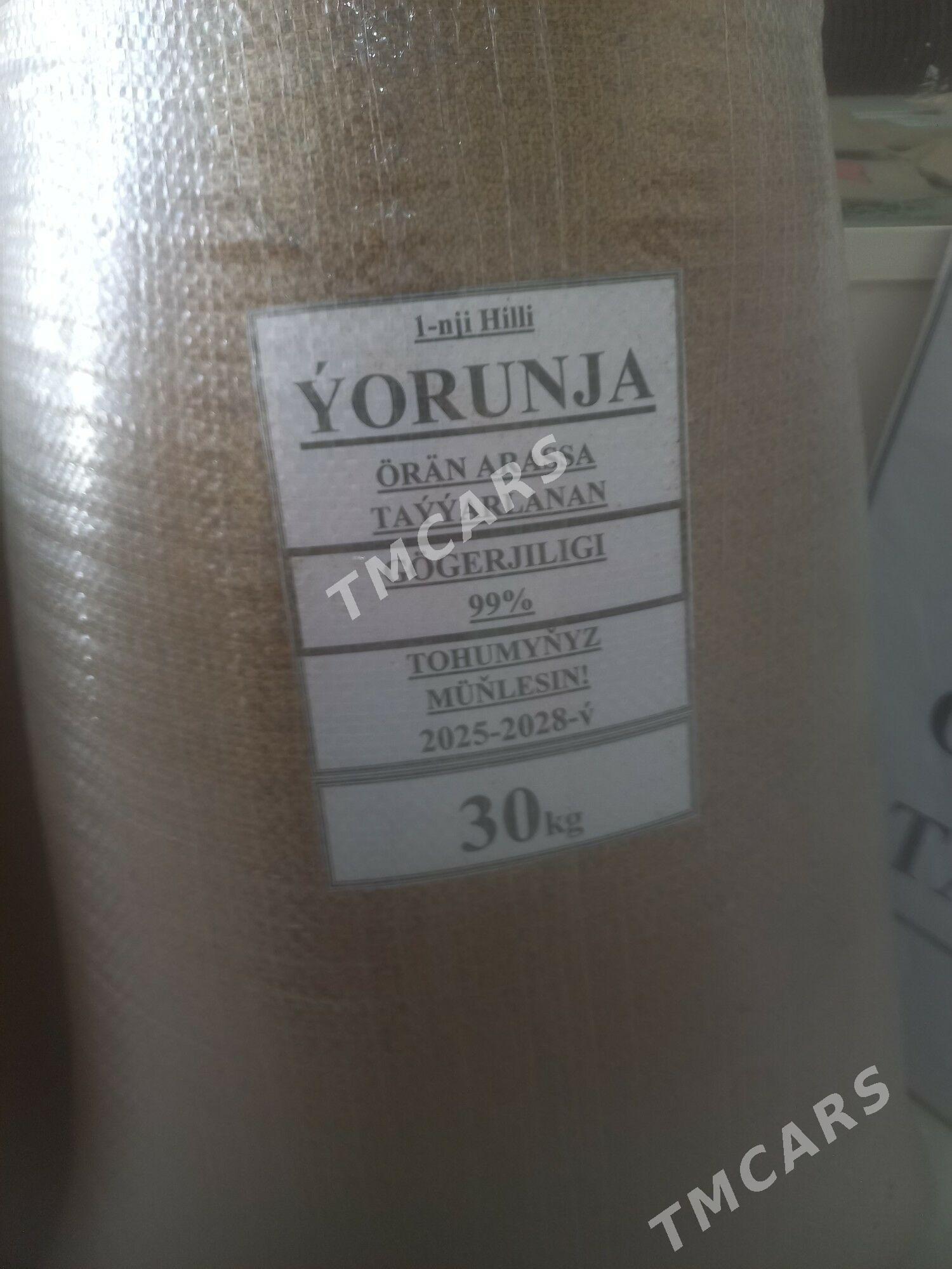 Yorunja tohum - Бахарден - img 3