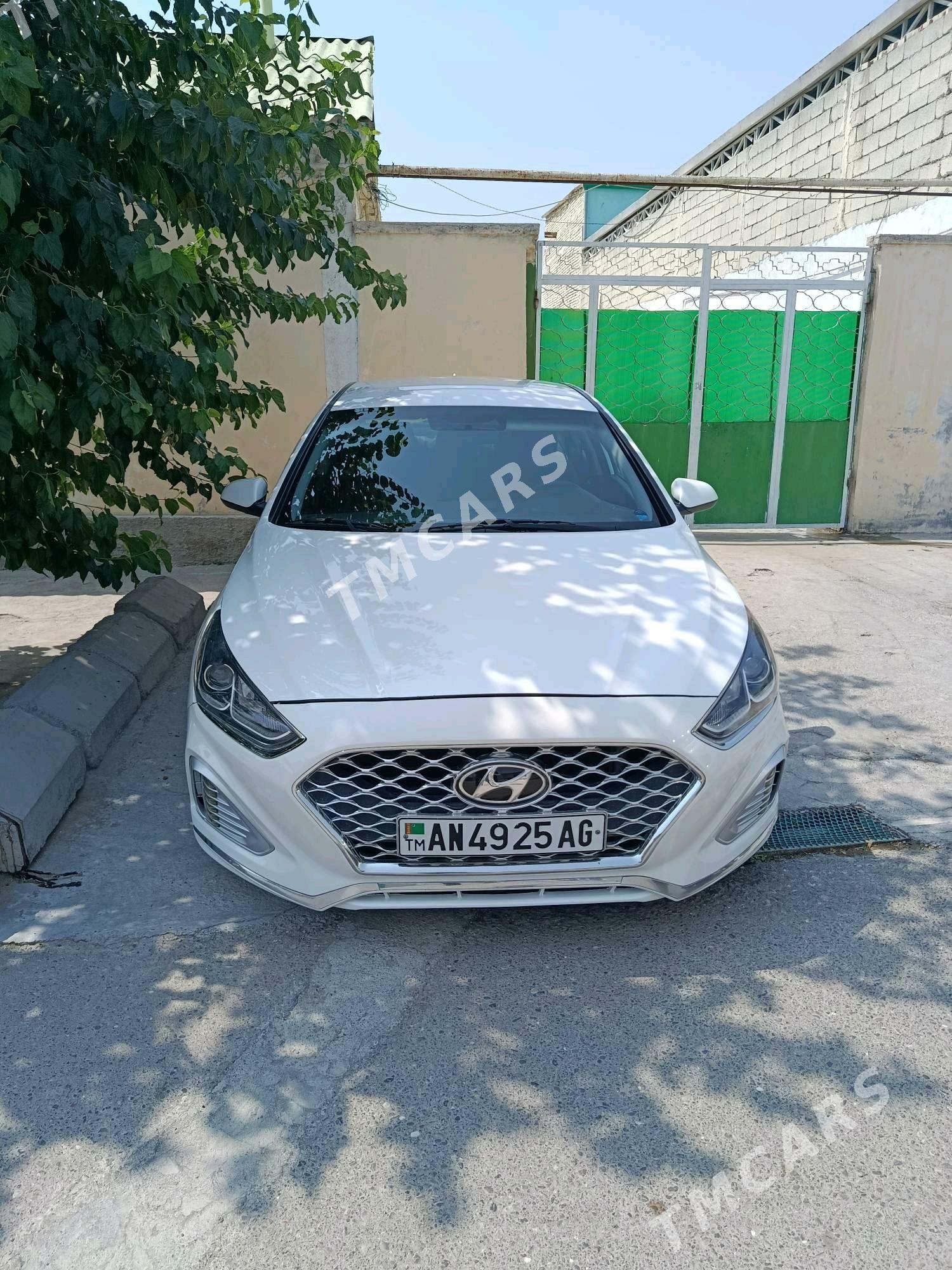 Hyundai Sonata 2018 - 190 000 TMT - Çoganly - img 7