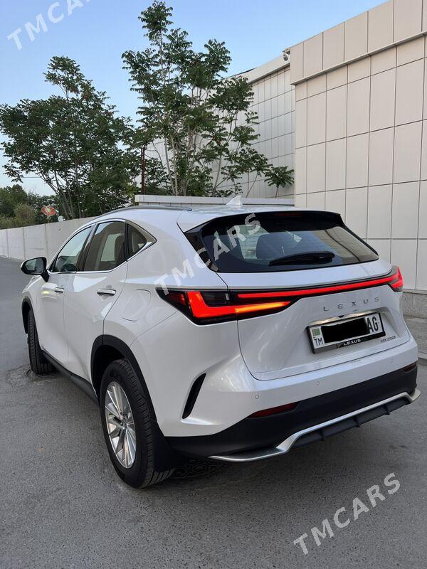 Lexus NX 250 2022 - 688 000 TMT - Ашхабад - img 3