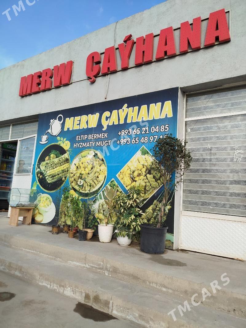 arenda magazin - Tejen - img 2