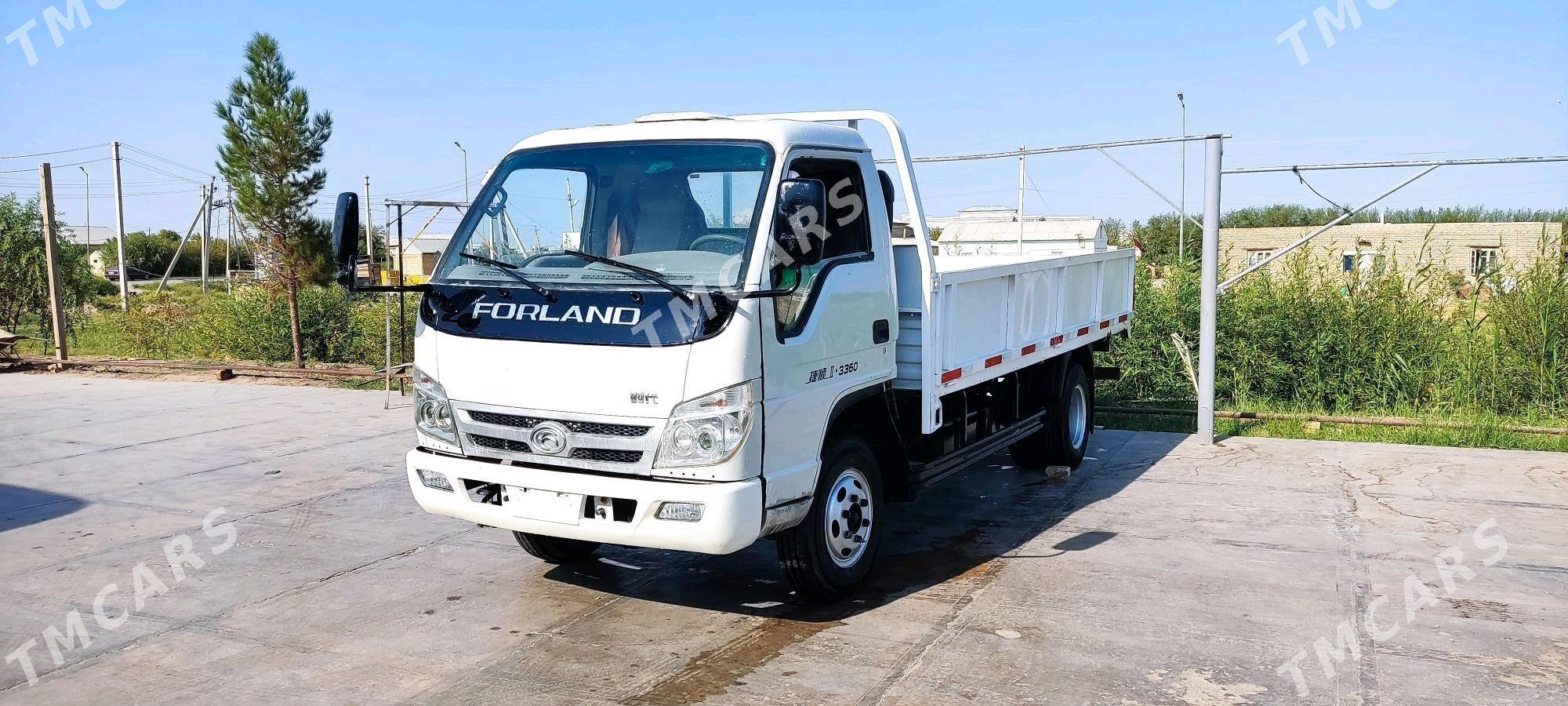 Forland H3 2012 - 100 000 TMT - Mary - img 2