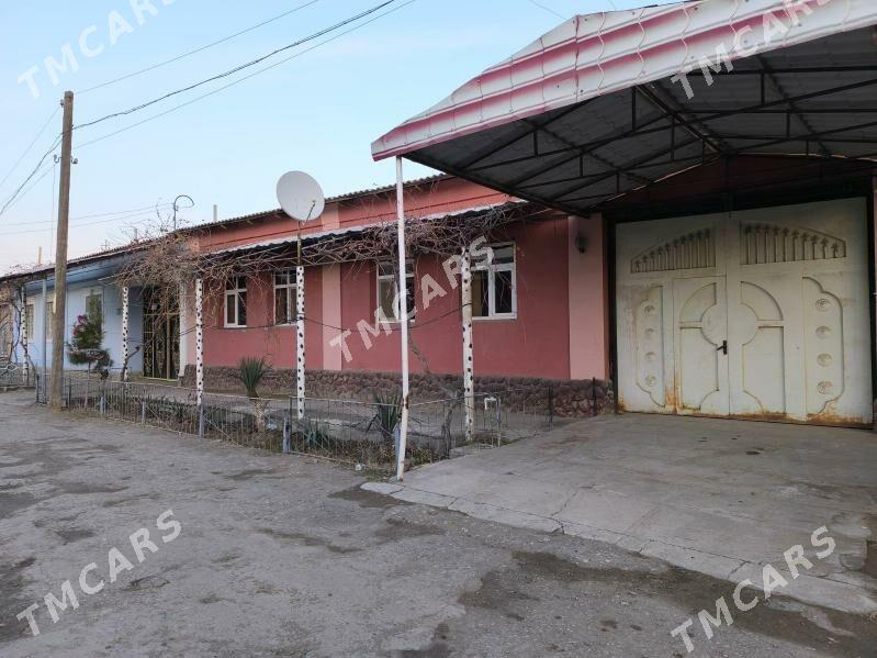 satlyk jay - Dänew - img 3