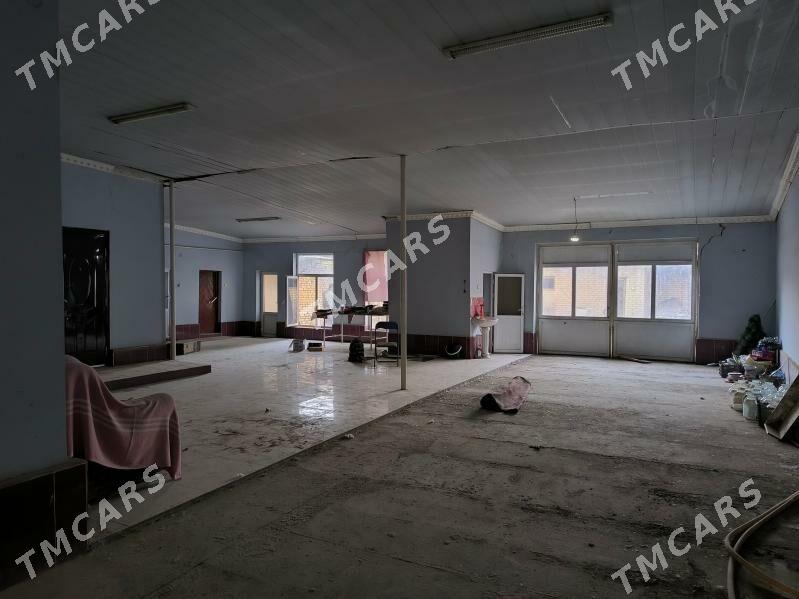 satlyk jay - Dänew - img 2