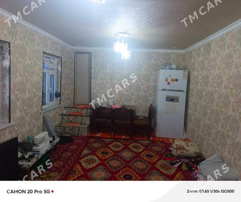 pylan jay - Туркменгала - img 7
