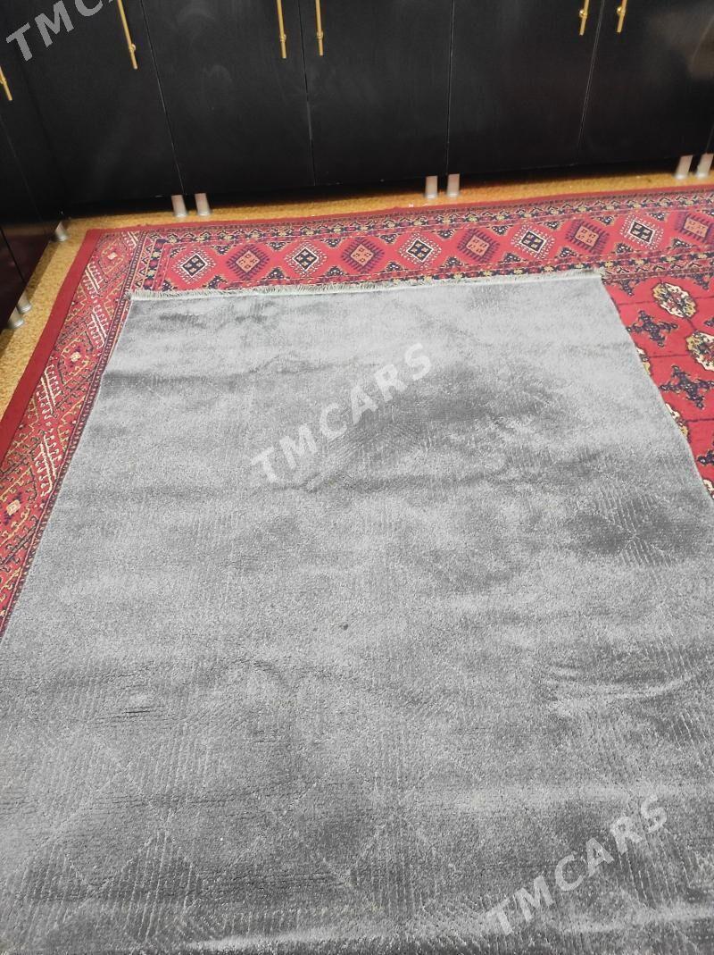 halylar - Türkmenabat - img 2