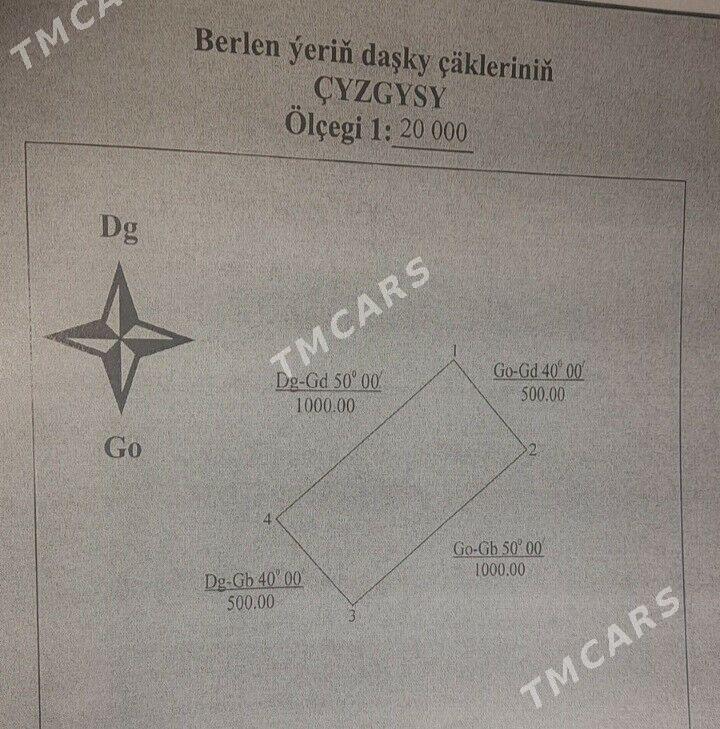 Önümçilik we ekin yeri. - Bäherden - img 7