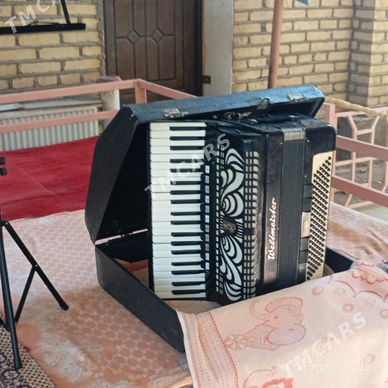 Akkordeon - Baýramaly - img 2
