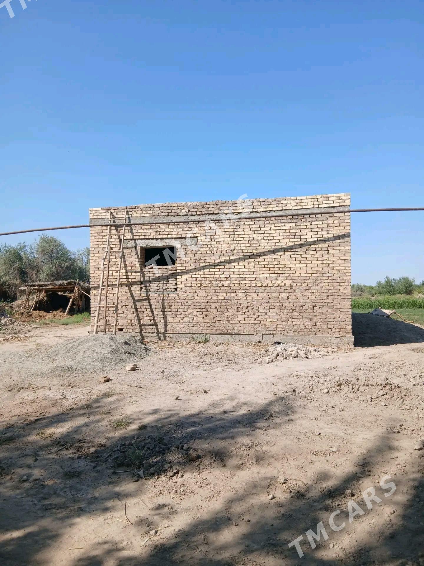 Satlyk jaÿ - Akdepe - img 4