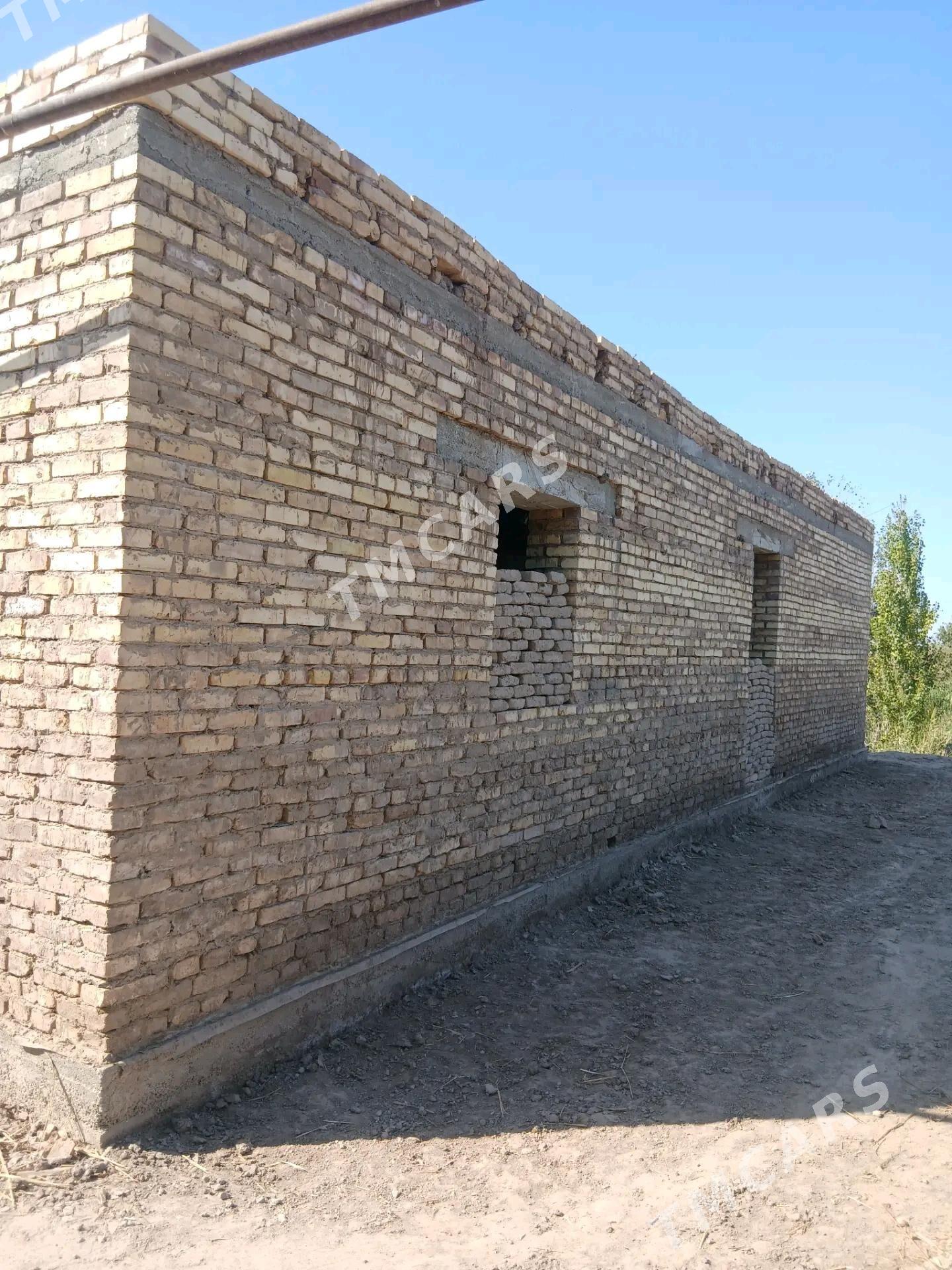 Satlyk jaÿ - Akdepe - img 3