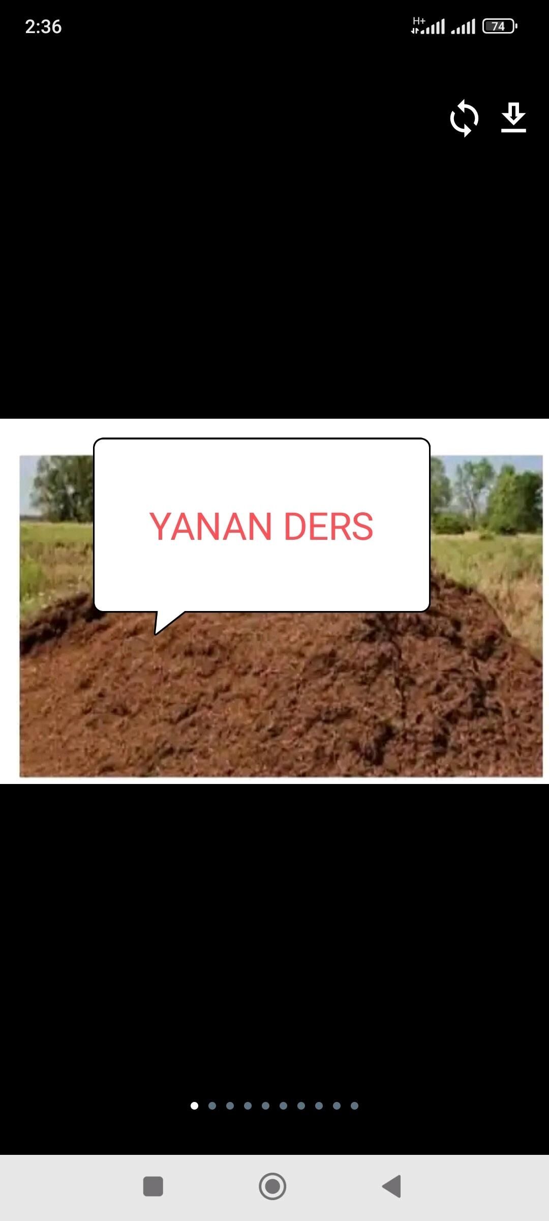 elenen ders gum навоз дерц гум - Bedew - img 2