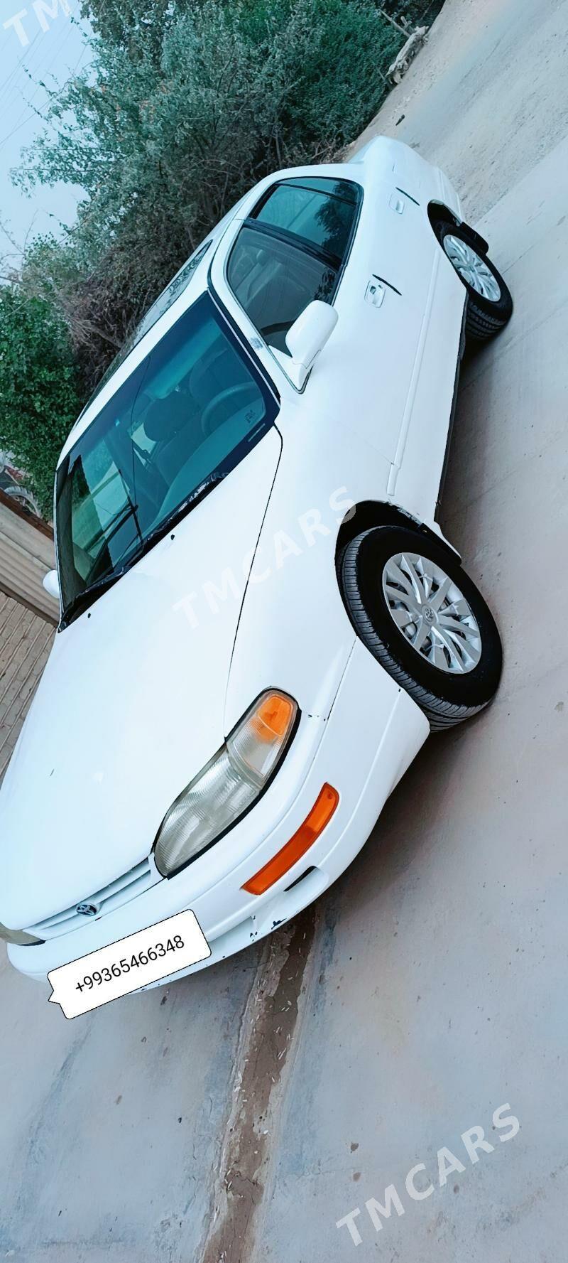 Toyota Camry 1995 - 86 000 TMT - Векильбазар - img 9