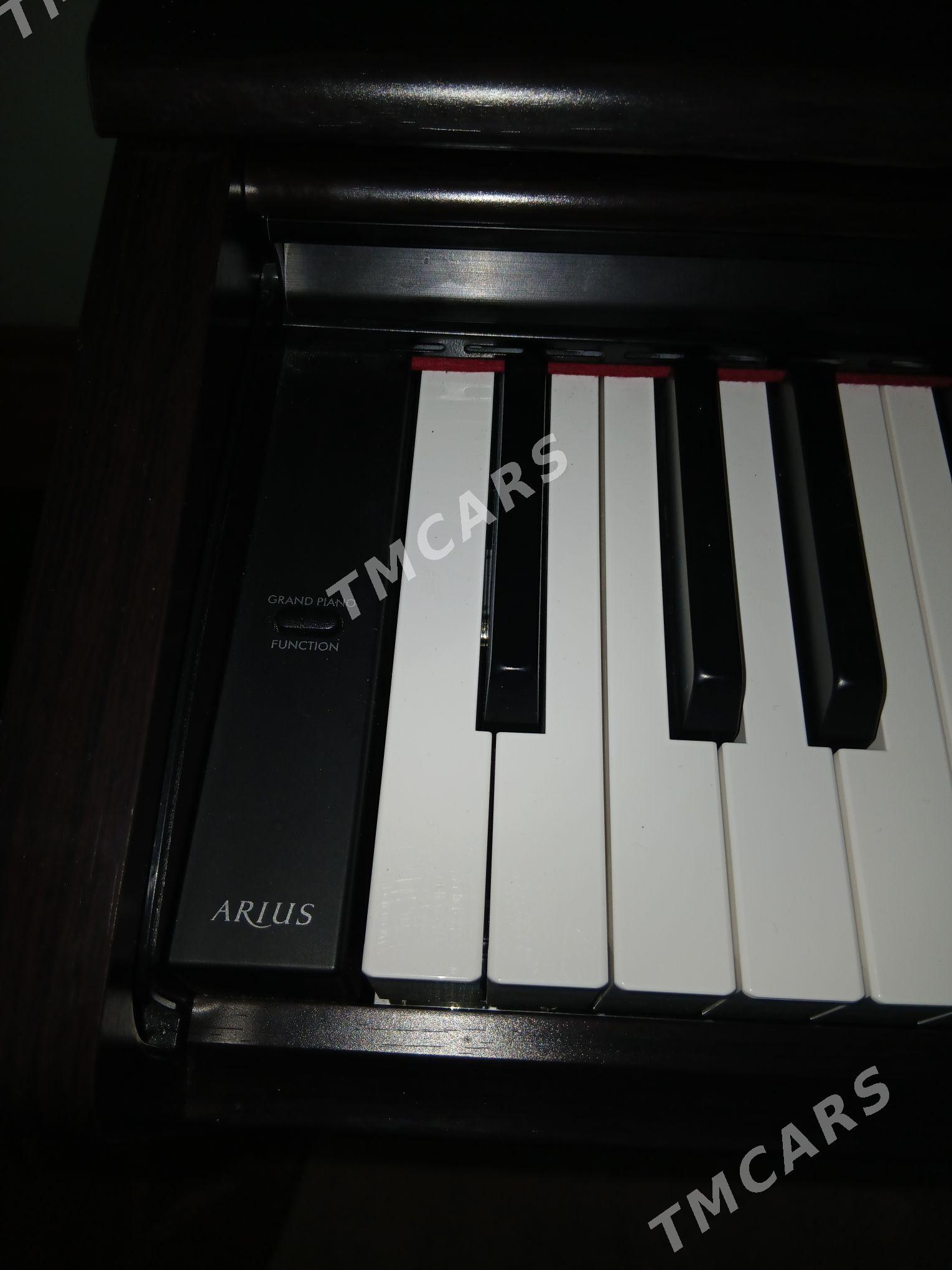 Arius Yamaha pianino elektron - Aşgabat - img 4