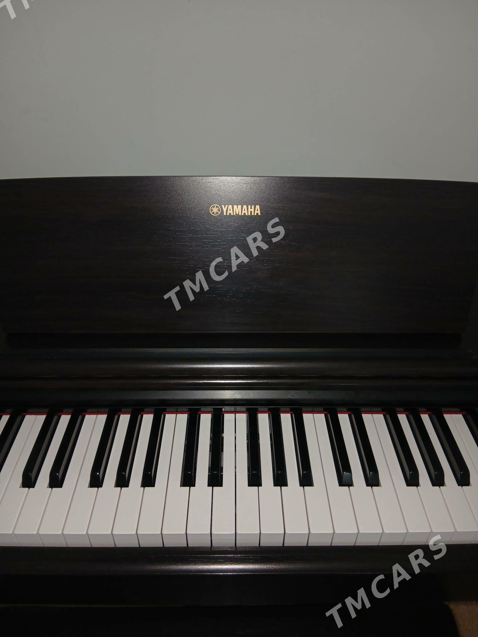 Arius Yamaha pianino elektron - Aşgabat - img 2