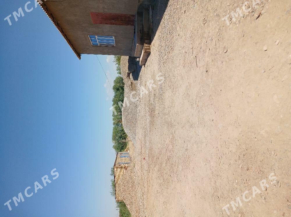 satlyk jay - Tejen - img 1