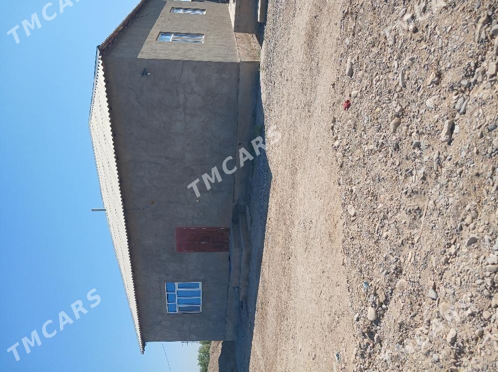 satlyk jay - Tejen - img 2