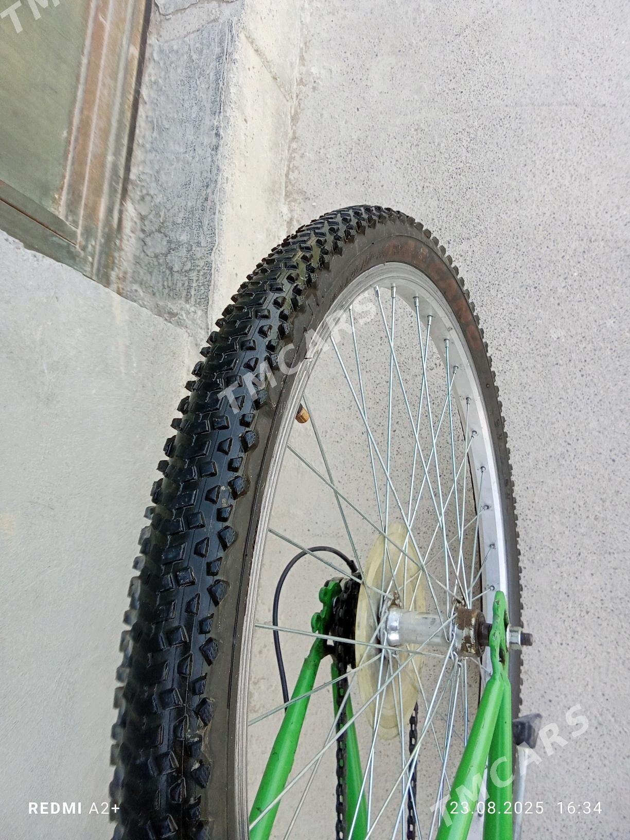 Tigir 26 welik welsepit - Bäherden - img 4