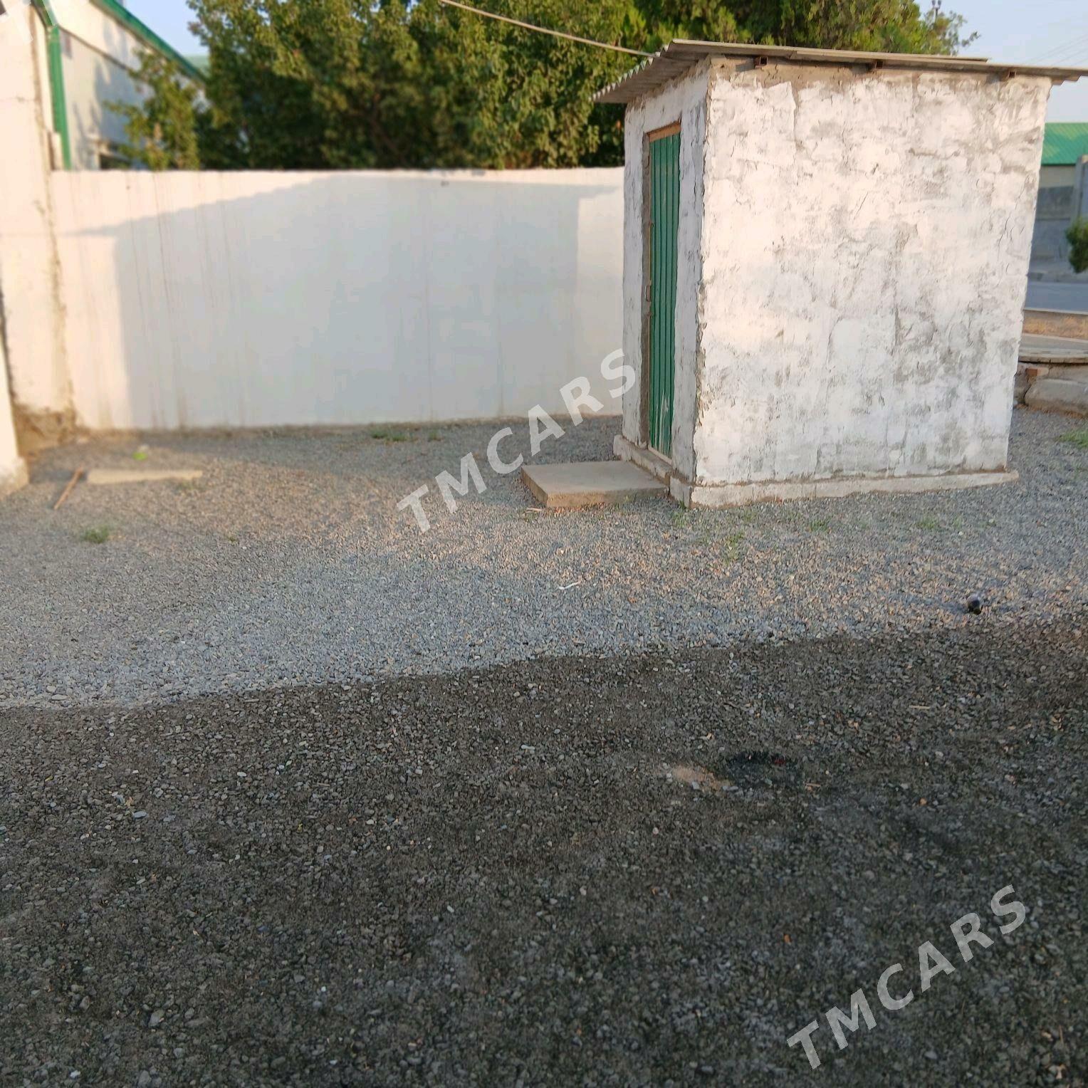 Gypjak mellek yer - Aşgabat - img 3