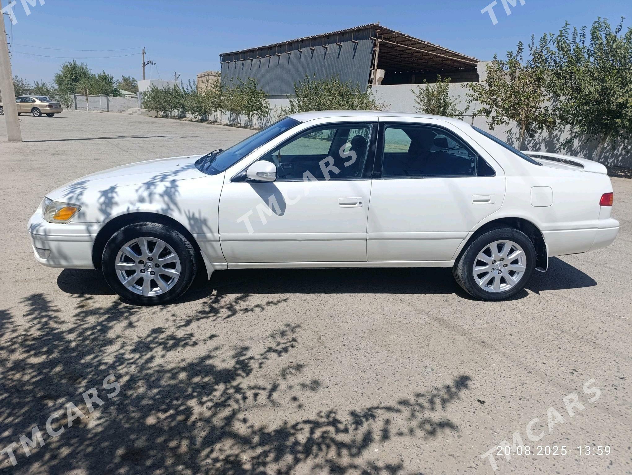 Toyota Camry 2001 - 119 000 TMT - Теджен - img 5
