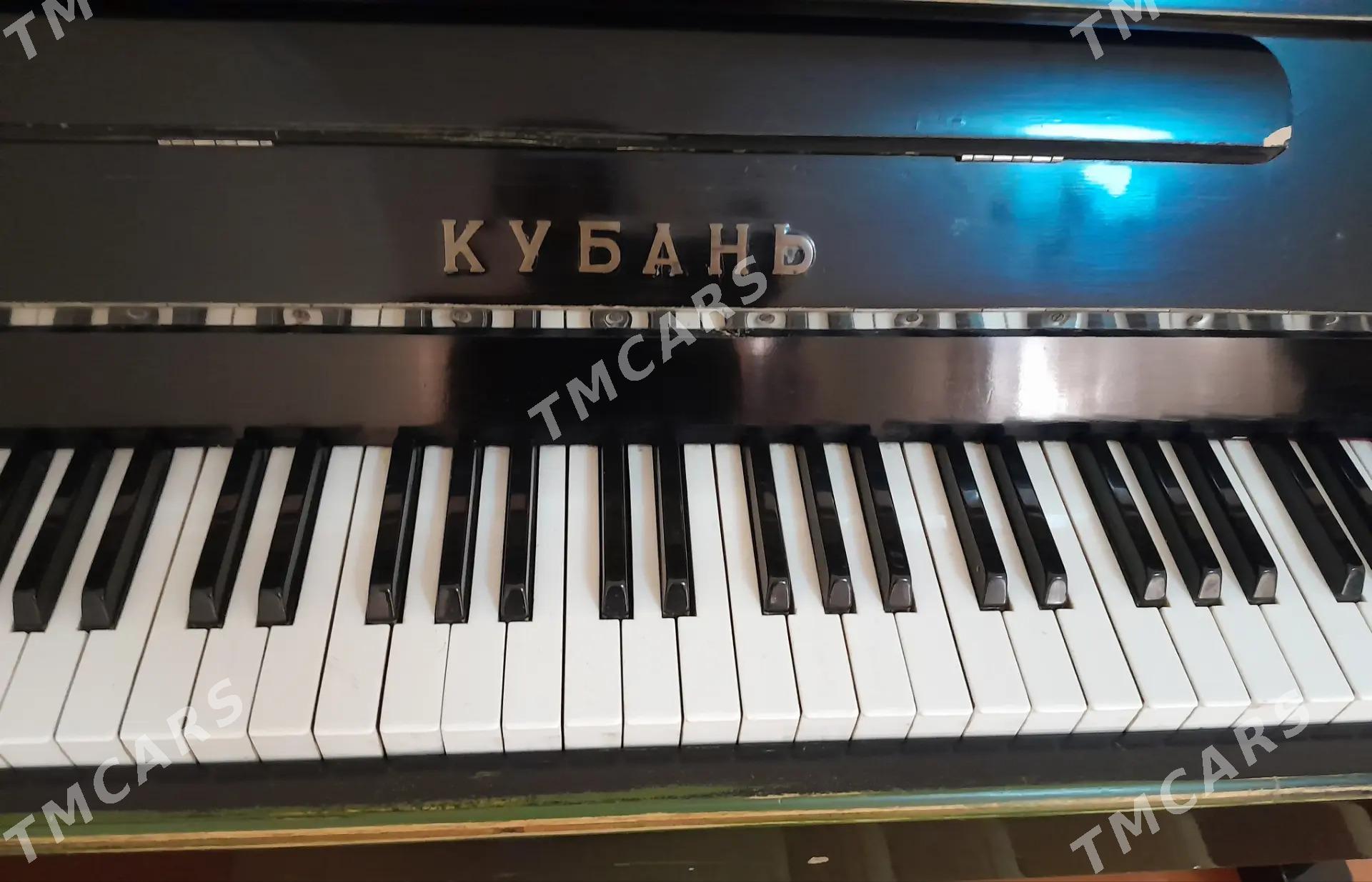 pianina Kuban - Гызыларбат - img 2