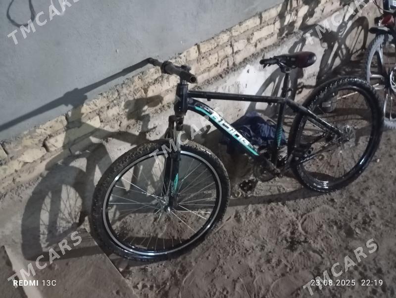 RiDING - Daşoguz - img 2