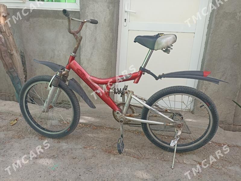 tigir gyssagly тигир welik A20 - Bedew - img 2
