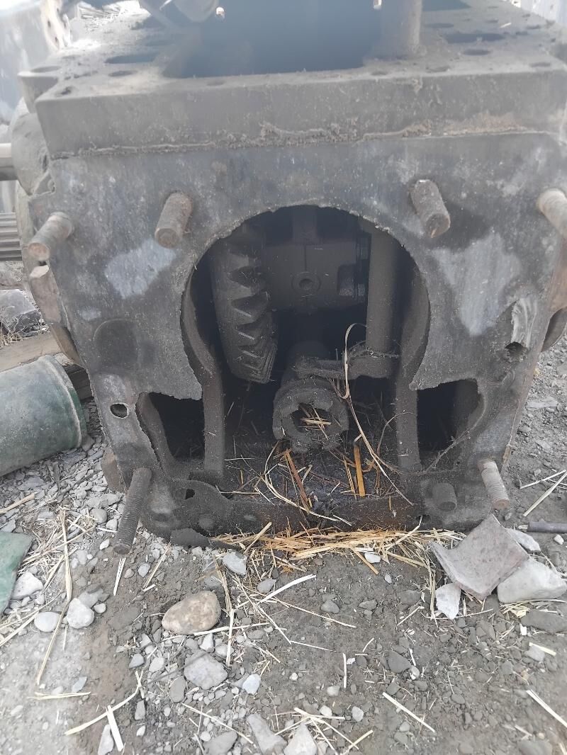 mos 12 000 TMT - Бахарден - img 5
