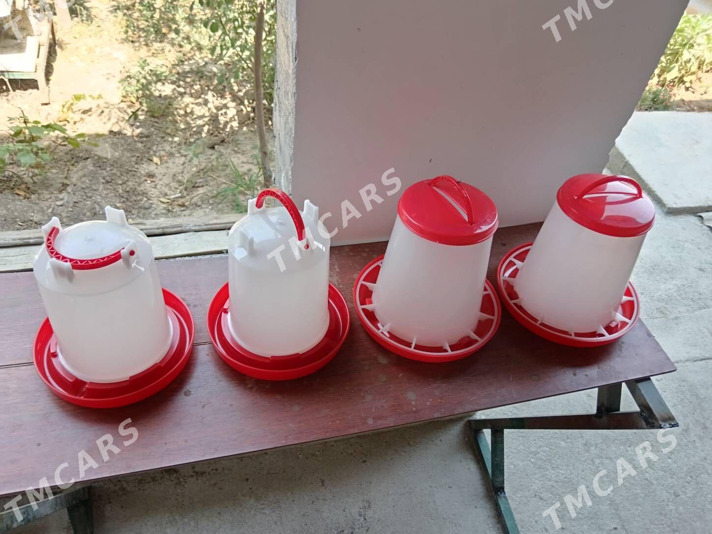 Juyje towuk un suw iym berilya - 30 mkr - img 4