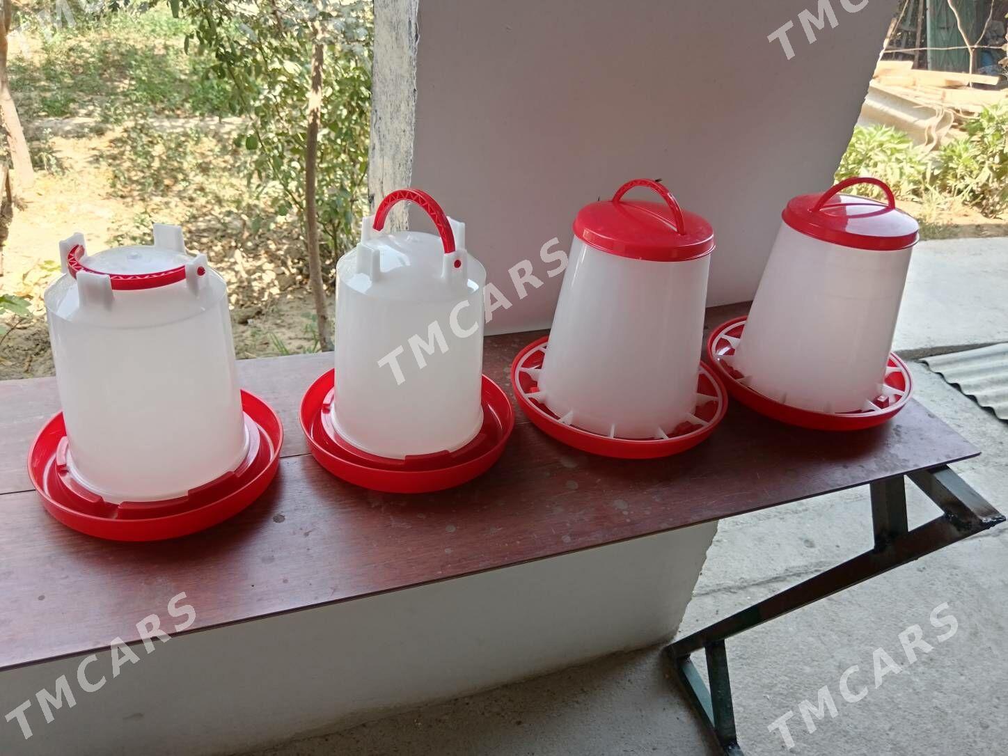 Juyje towuk un suw iym berilya - 30 mkr - img 5