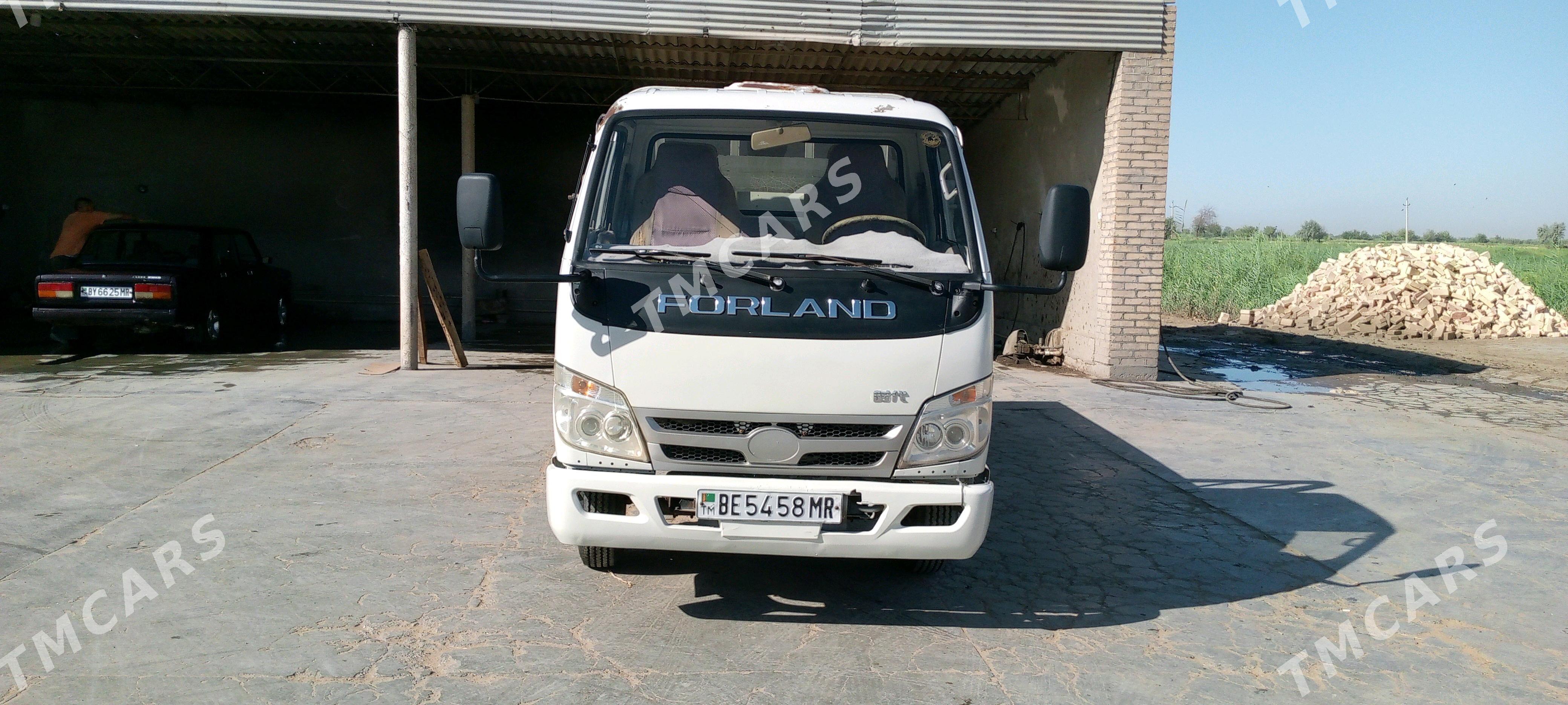 Forland H3 2014 - 110 000 TMT - Sakarçäge - img 3