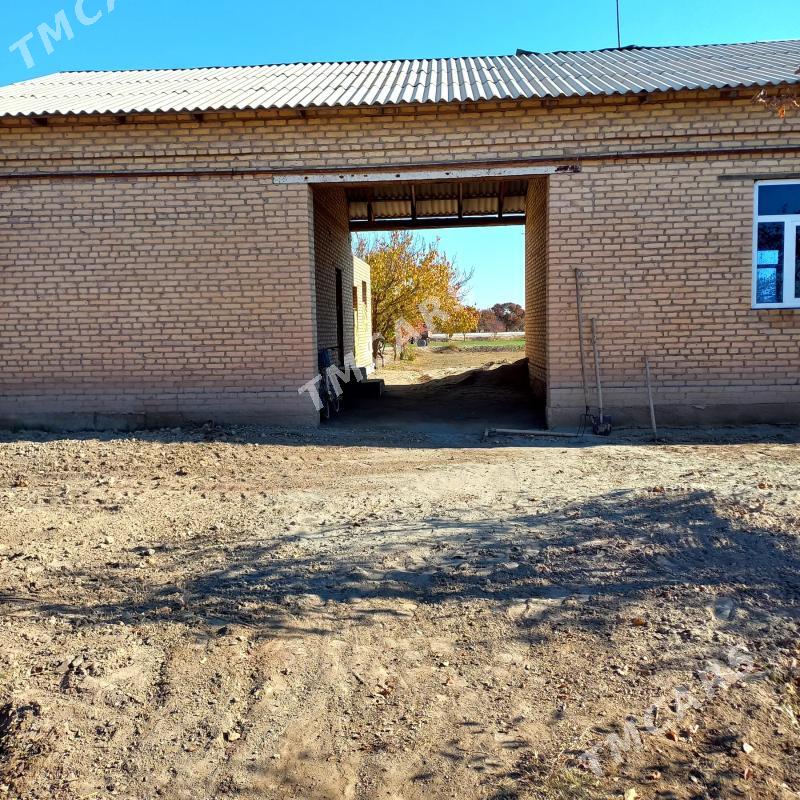 Satlyk jaý - Гарабекевюл - img 4