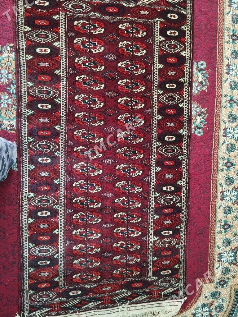 El Haly - Balkanabat - img 3