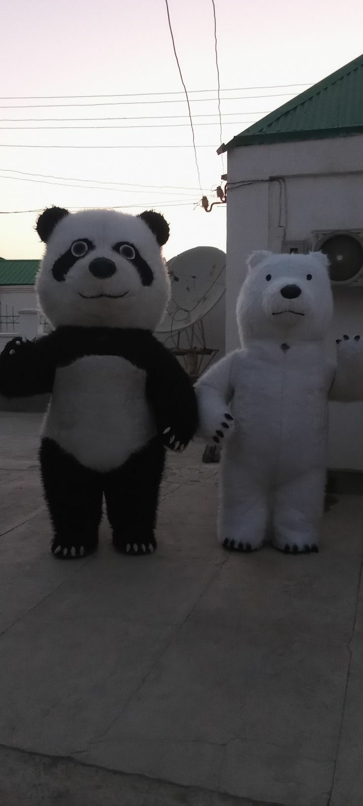 Panda mişka - Бахарден - img 5