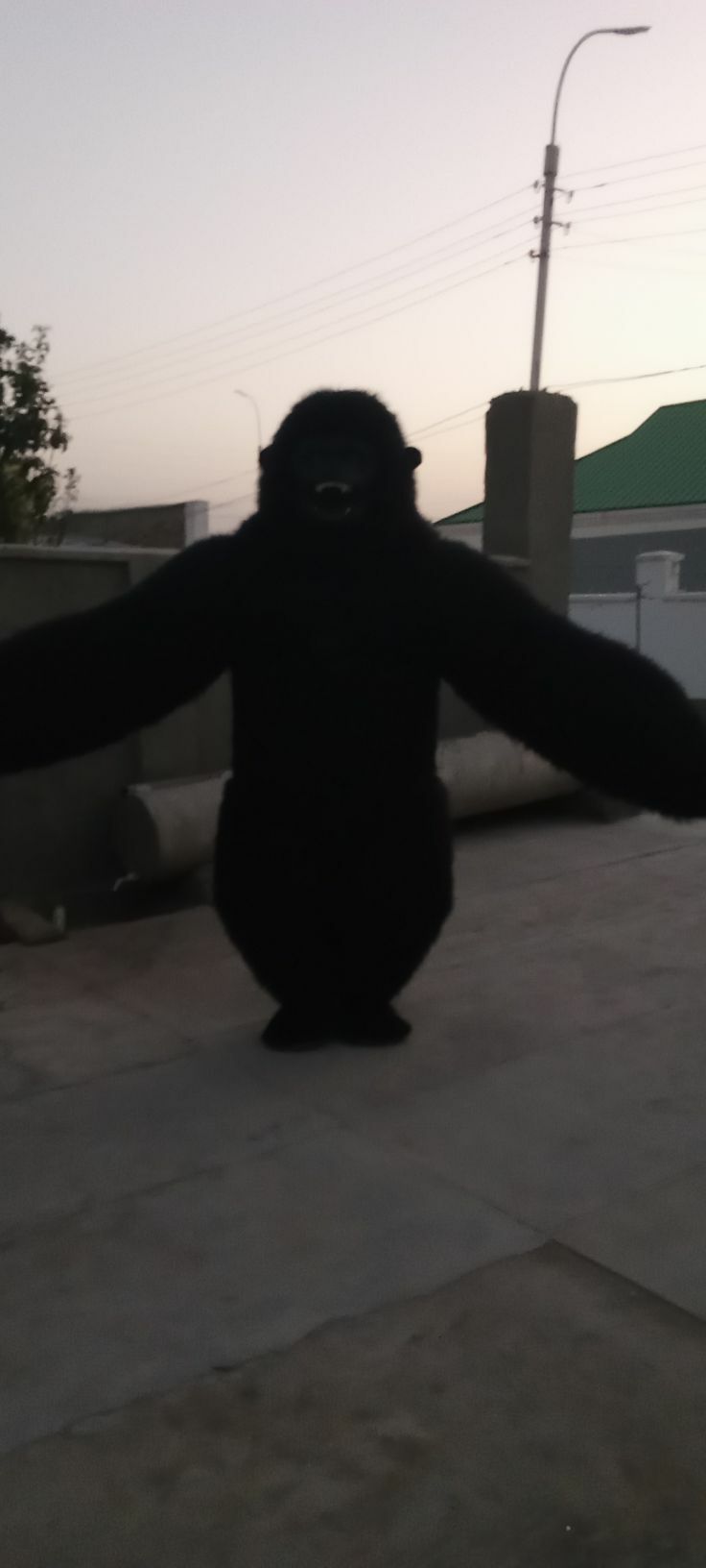 Panda mişka - Бахарден - img 6