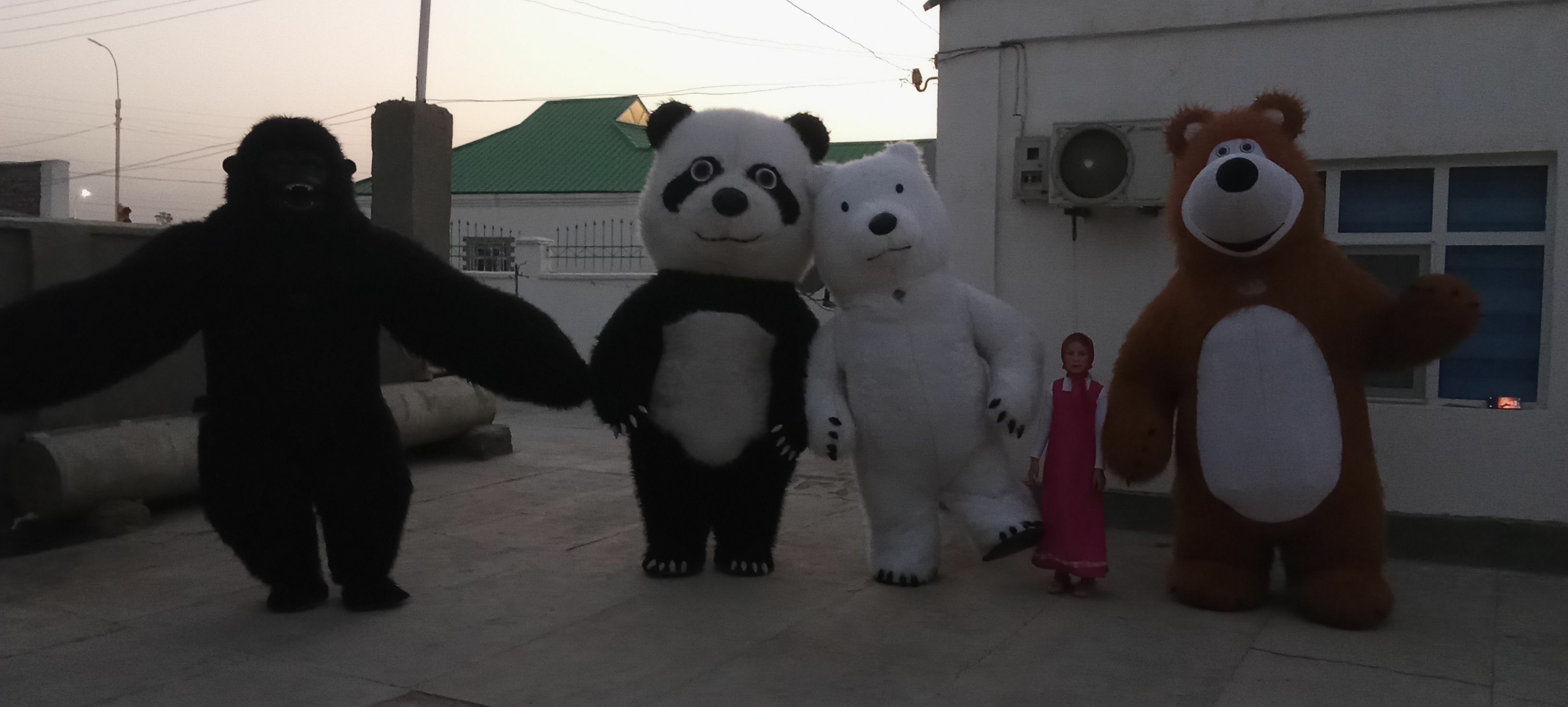 Panda mişka - Бахарден - img 4