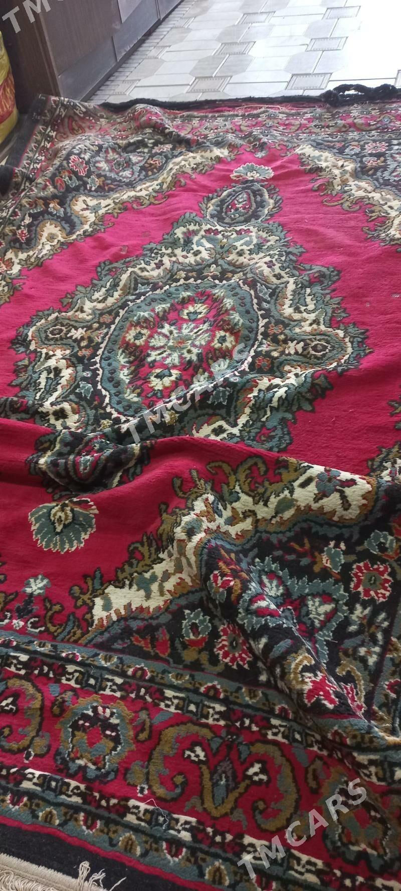 HALI  WE PALAS   ỲAŞYL ulanyla - Mary - img 5